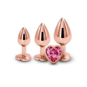 Anal Training Kit in Rose Gold with Pink Hearts