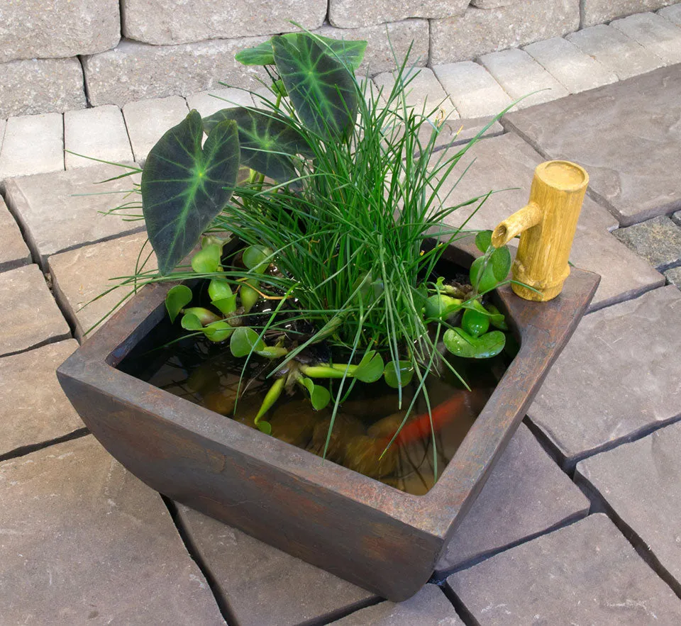 Aquascape Aquatic Patio Pond Kit