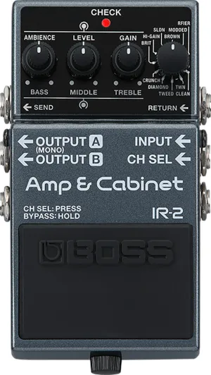 Boss IR-2 Amp & Cabinet