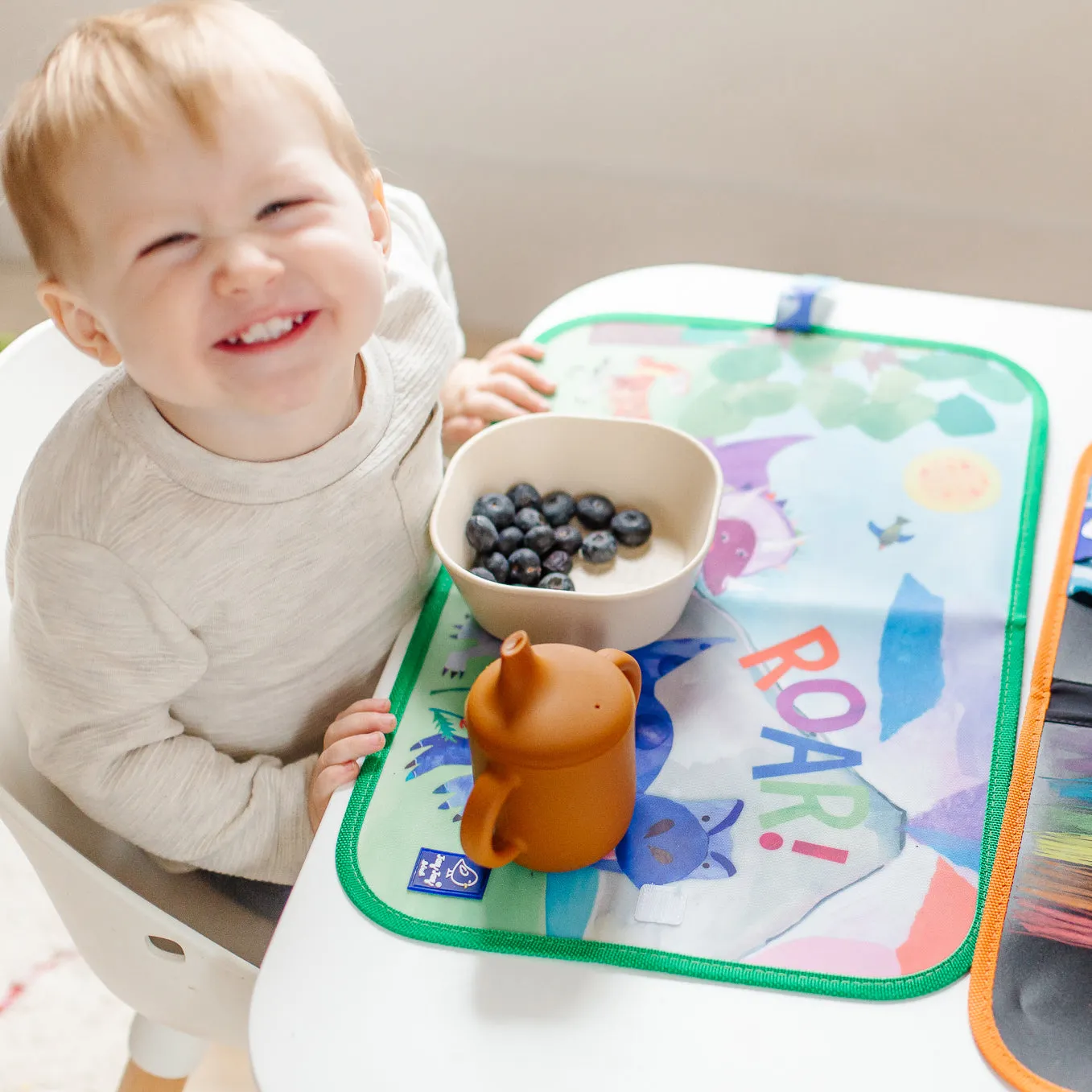 Dinosaur Dry Erase Wipe Fold   Go Place Mat and Chalk Mat