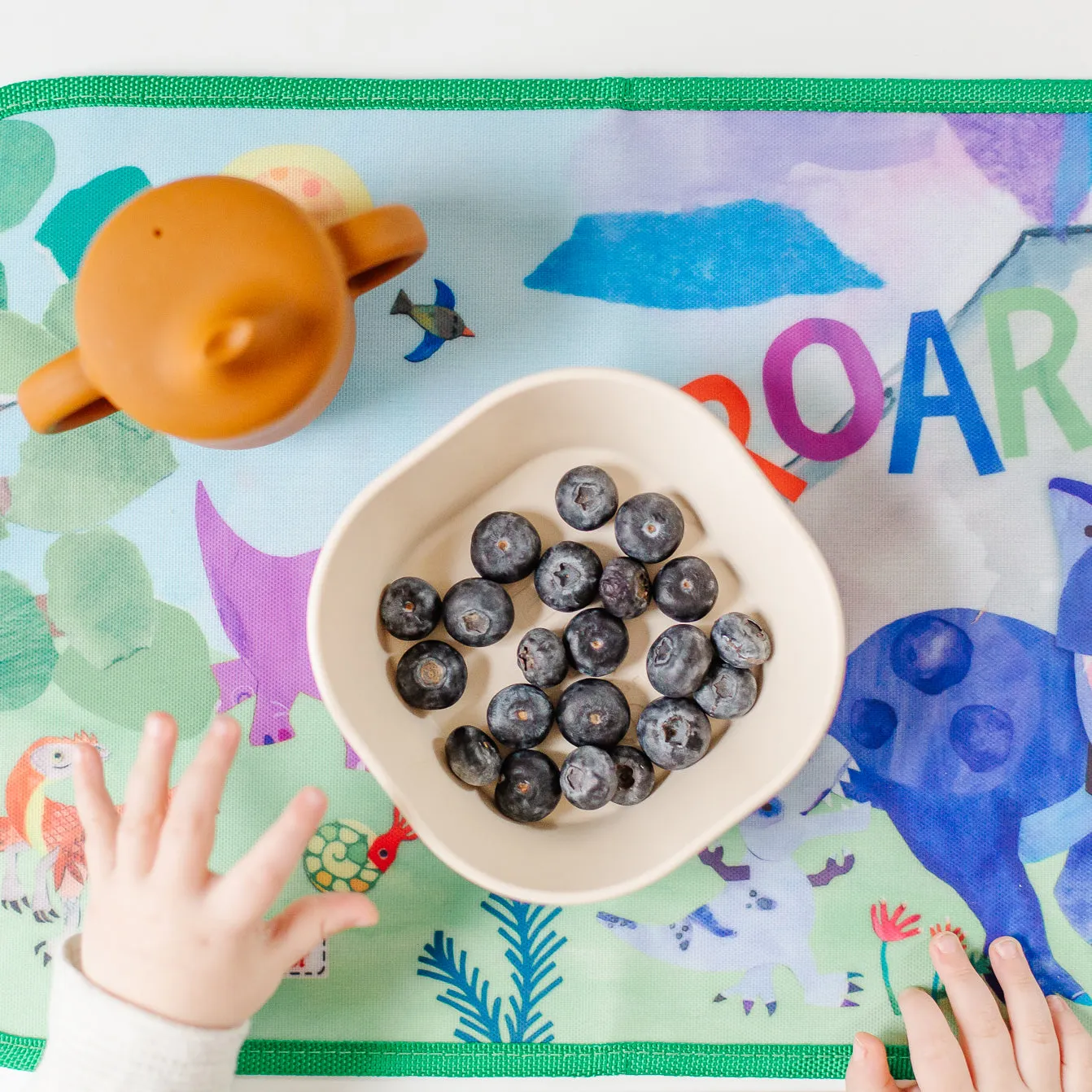 Dinosaur Dry Erase Wipe Fold   Go Place Mat and Chalk Mat