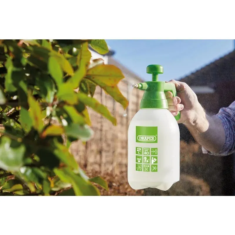 Draper 82467 Garden Hand Pressure Sprayer 2.5L Plant Watering Pesticide Weed Killer  30OFF
