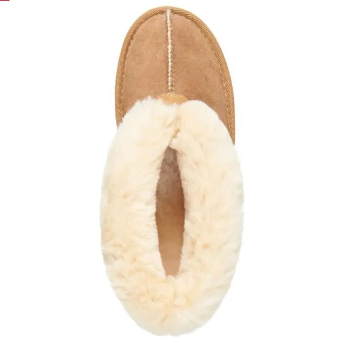 EMU Aust II PLATINUM ALBANY - chestnut