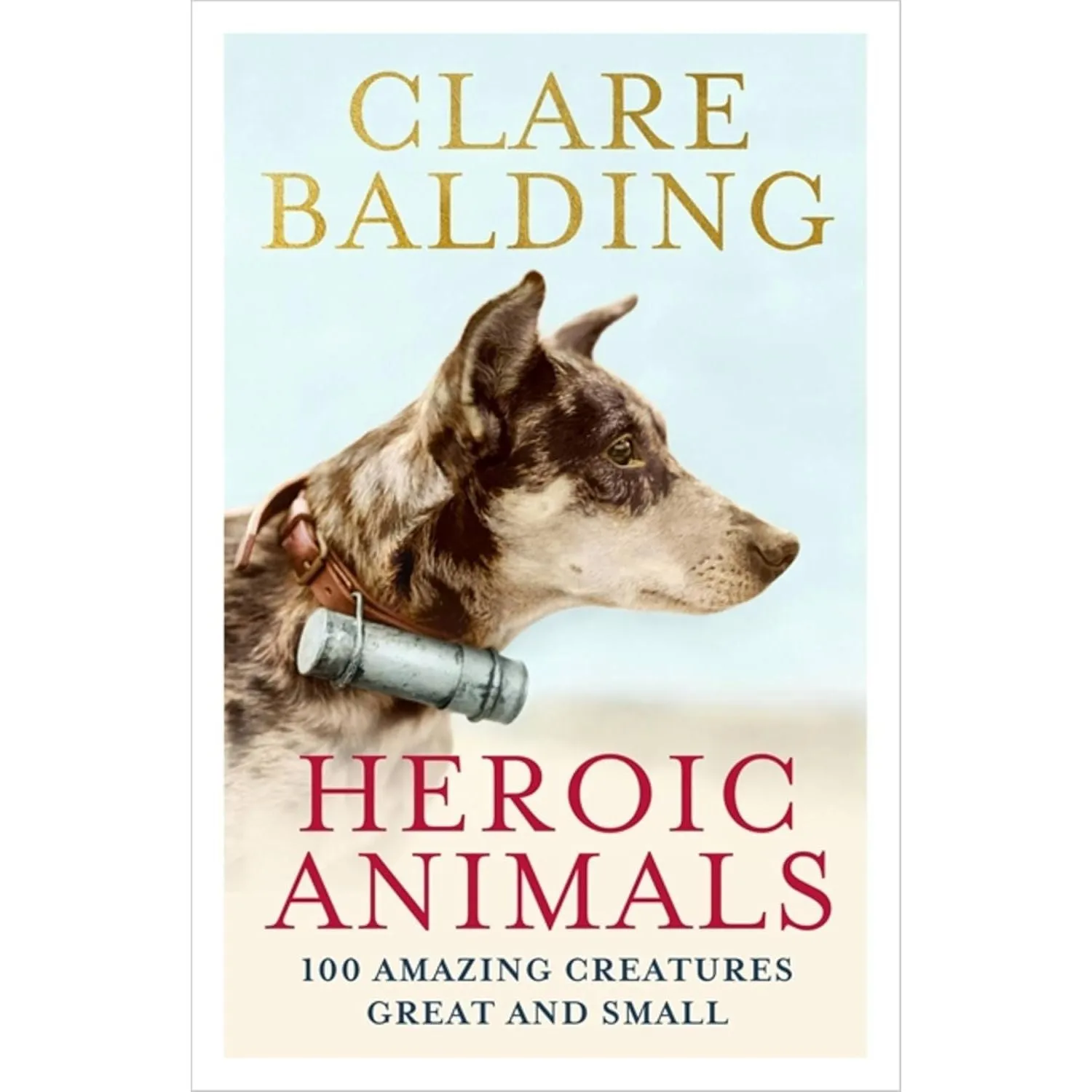 Heroic Animals: Amazing Creatures that Changed Our World & My Animals and Other Family 2 Books Set By Clare Balding