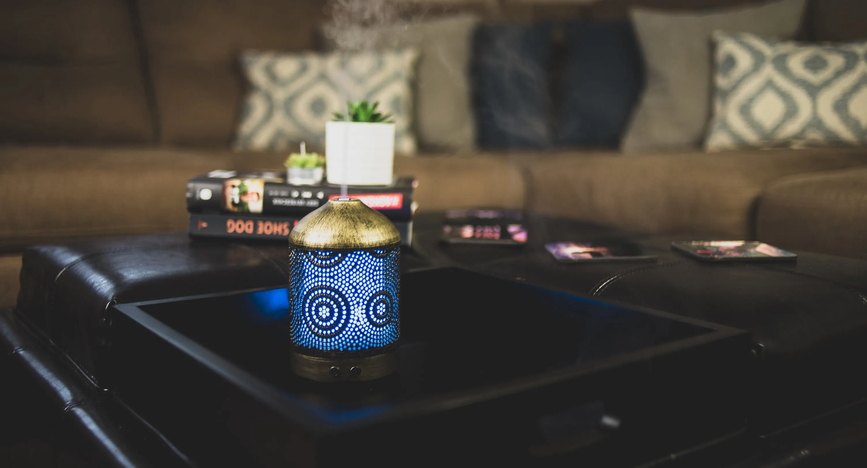 June & May Aroma Diffuser