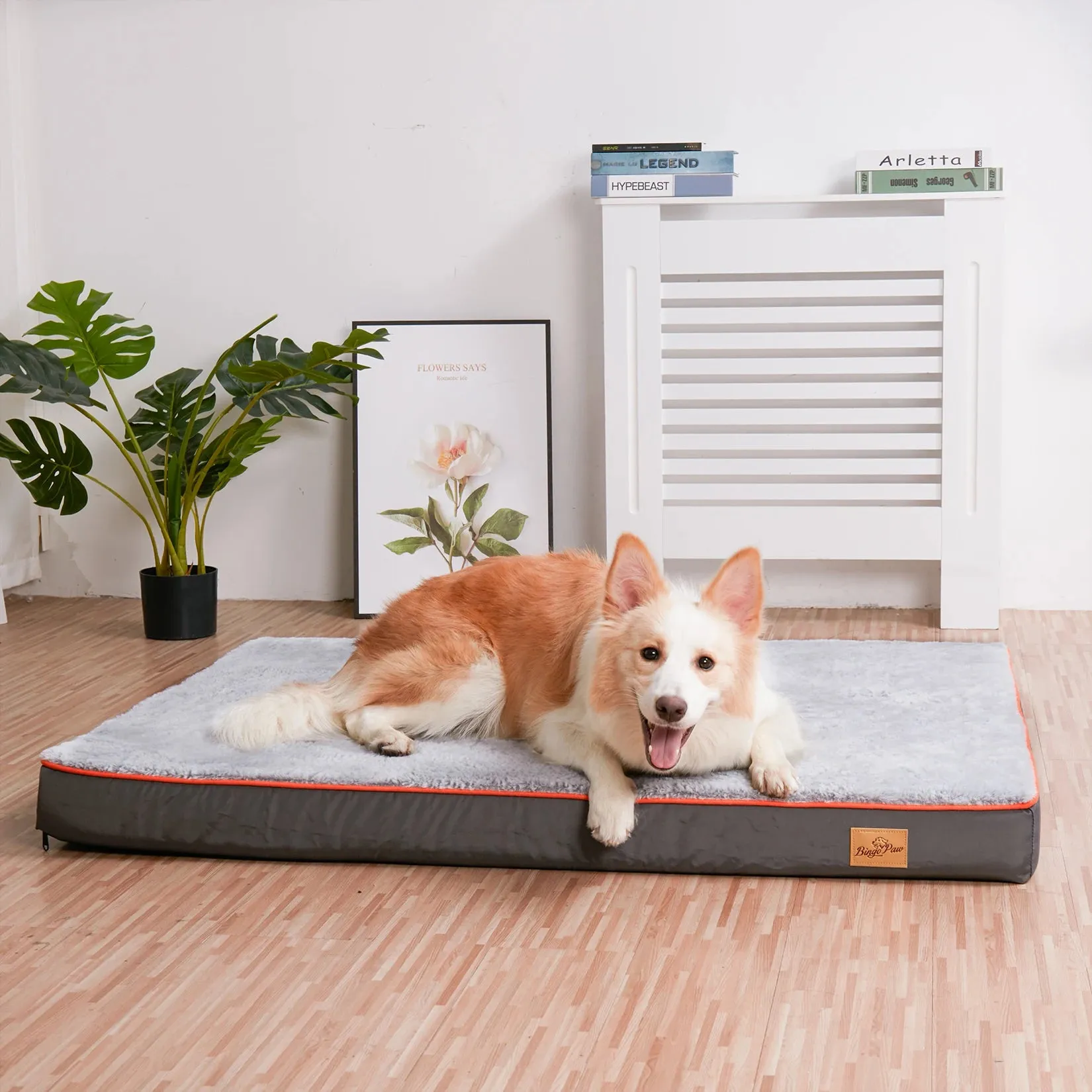 Large Gray Orthopedic Dog Bed