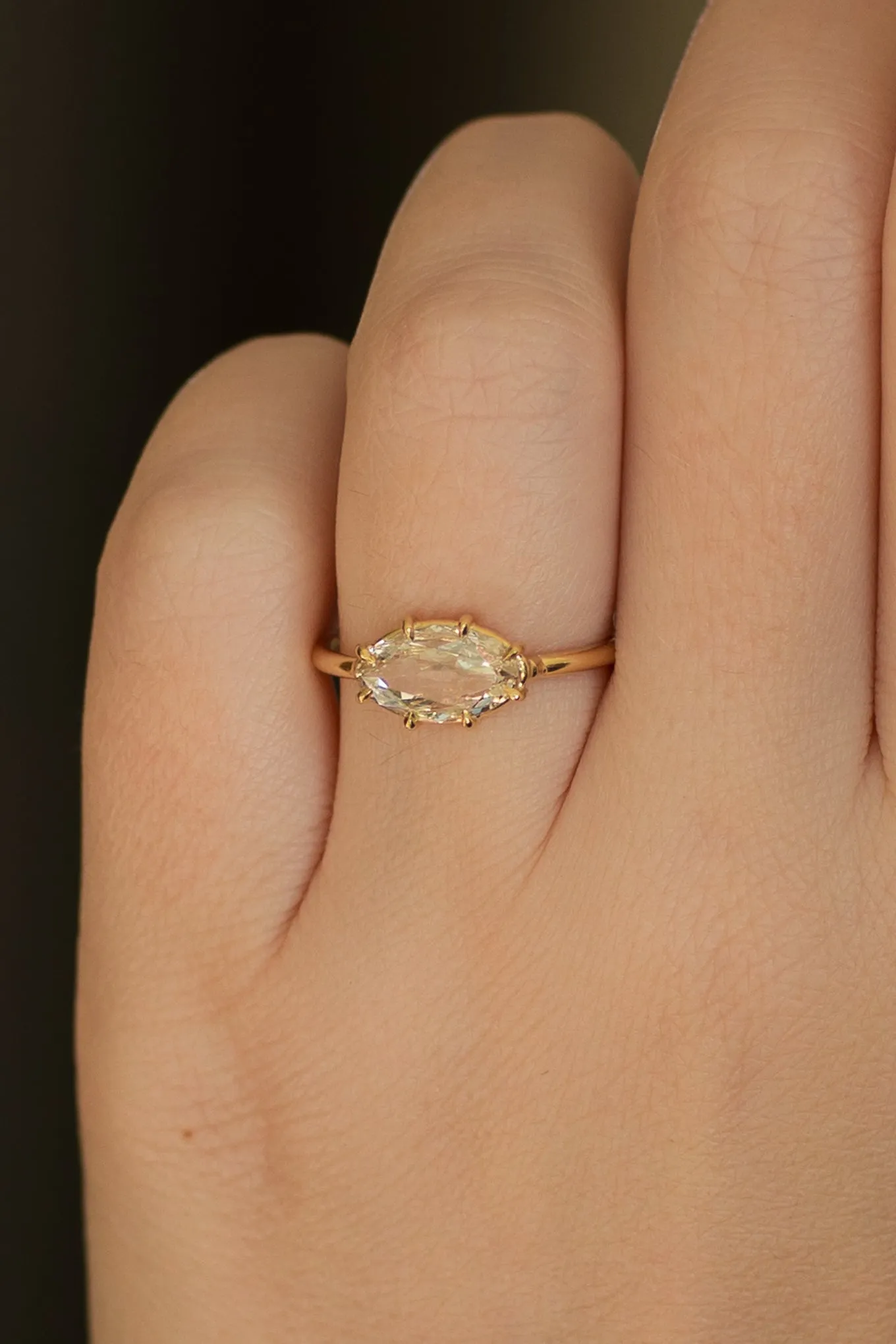 Lily Solitaire
