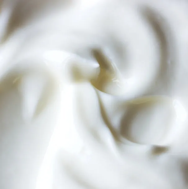 Moisture Whip Face Cream