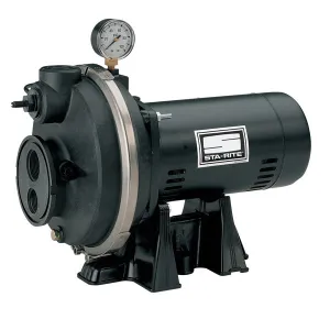Sta-Rite PLF 1 1/2 HP Deep Well Jet Pump witha 1" discharge.