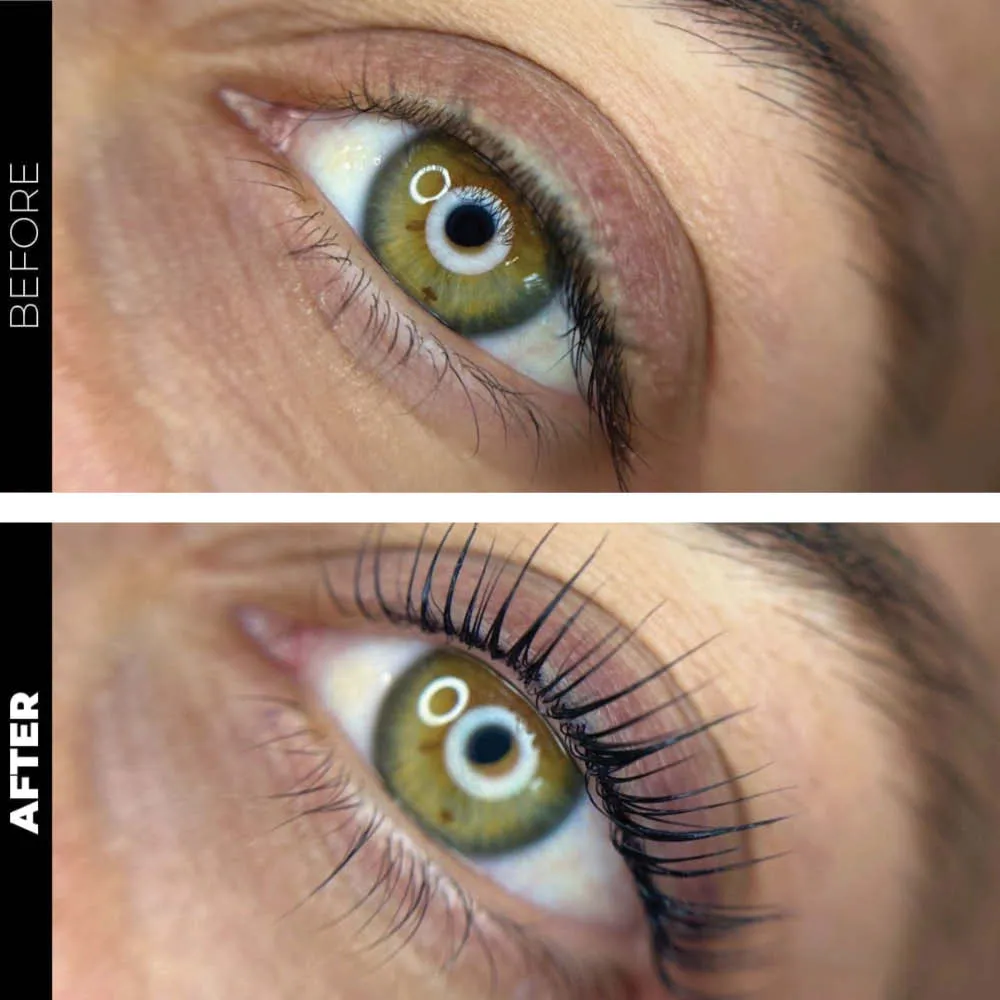 Student Brow Kit - Lamination and Brow Dye / lash lift and tint