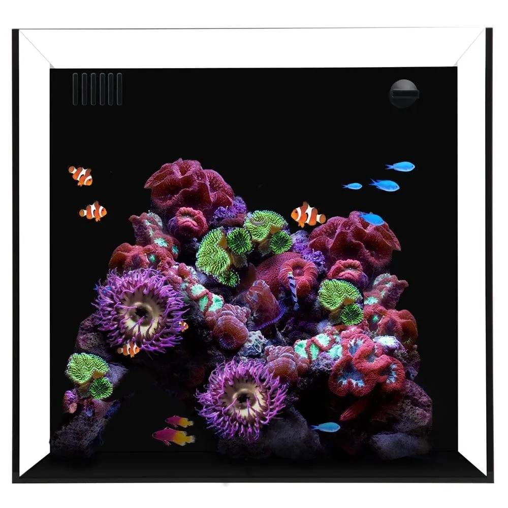 Waterbox AIO Cube 20 (L450 x W450 x H400)